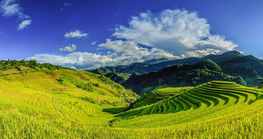 Mu Cang Chai tour